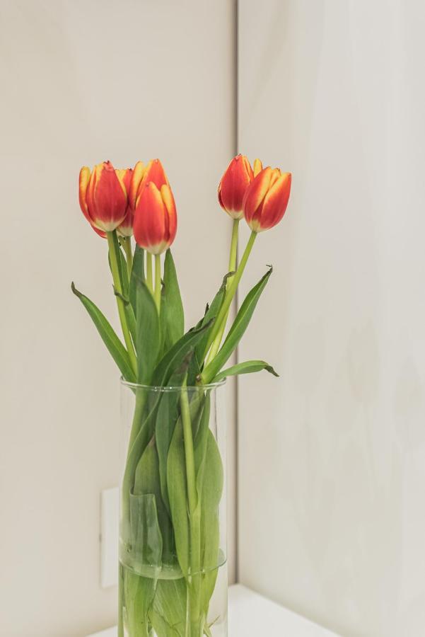 Frattina 35 Apartment โรม ภายนอก รูปภาพ